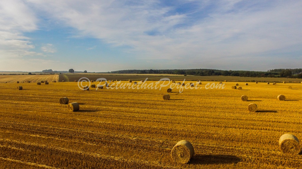 Haybales1