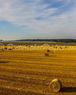 Haybales1