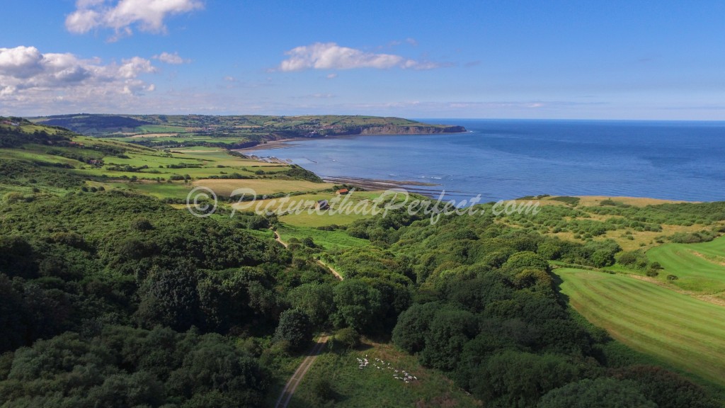 Summertime in Ravenscar2