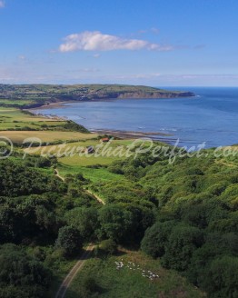 Summertime in Ravenscar2