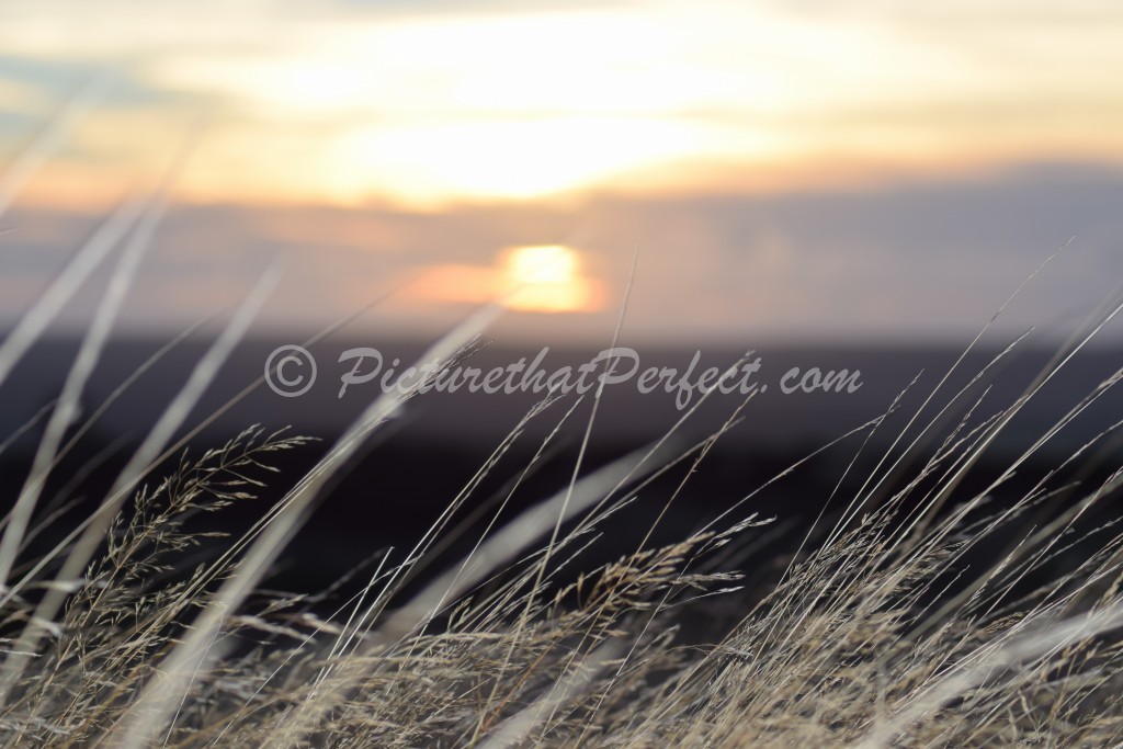 Moors Sunset Haze3