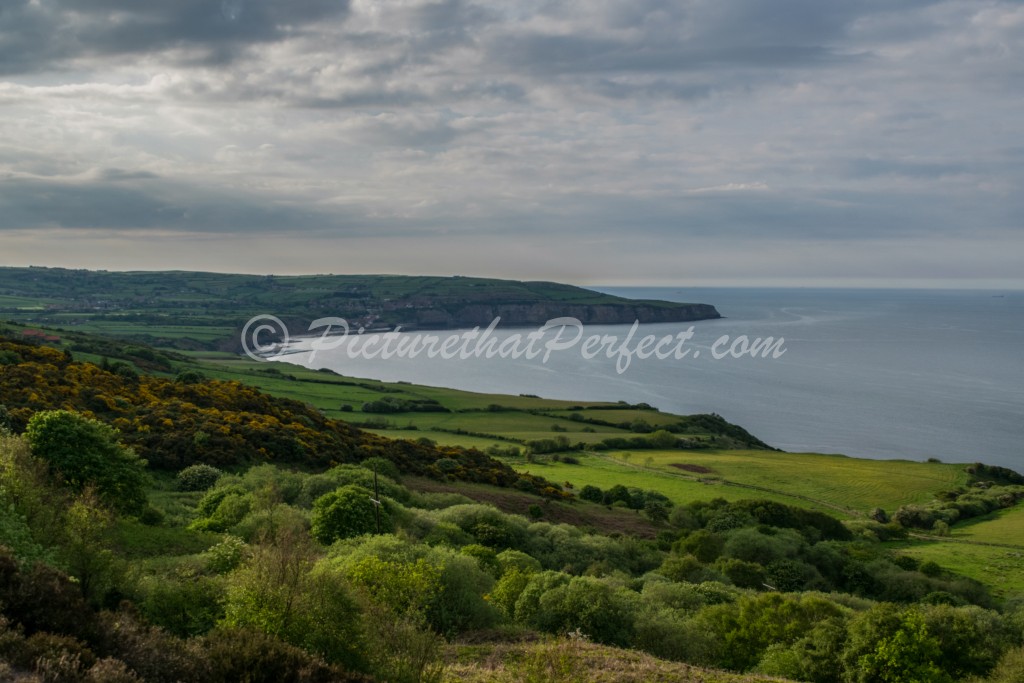 Ravenscar Fields with RHB2