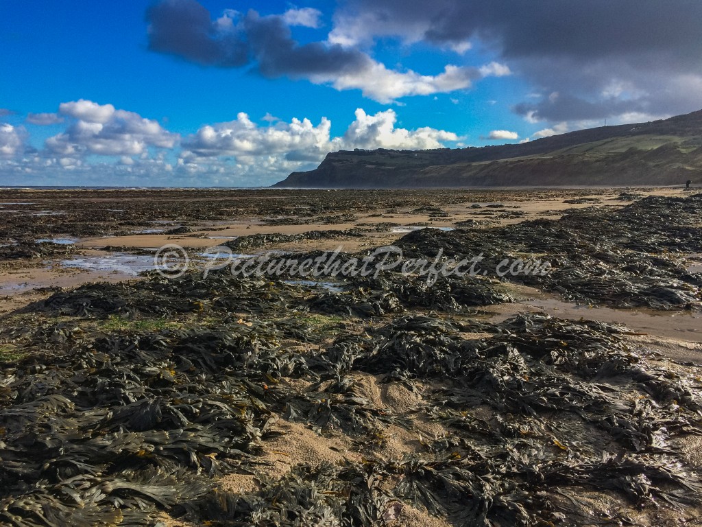 RHB Beach With Ravenscar6