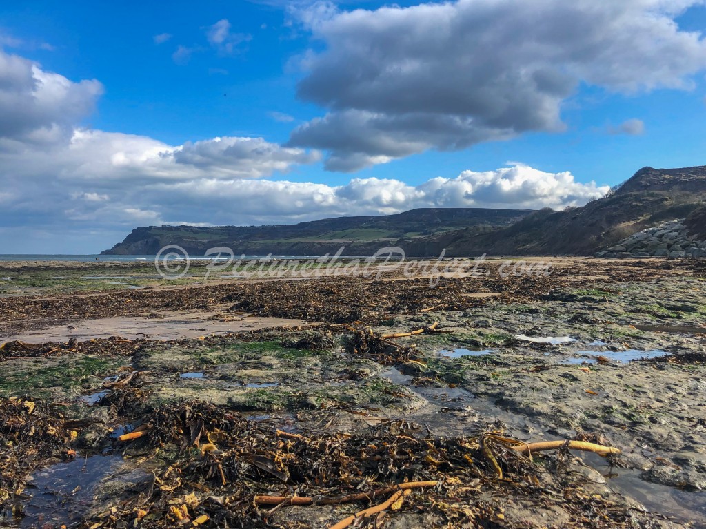 RHB Beach With Ravenscar5