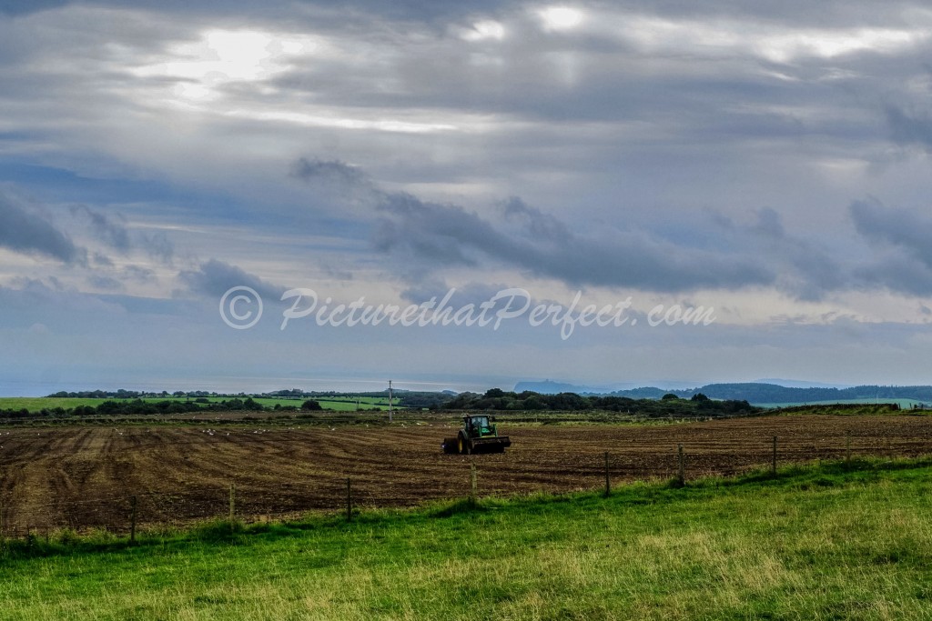 Tractor in Field Ravenscar