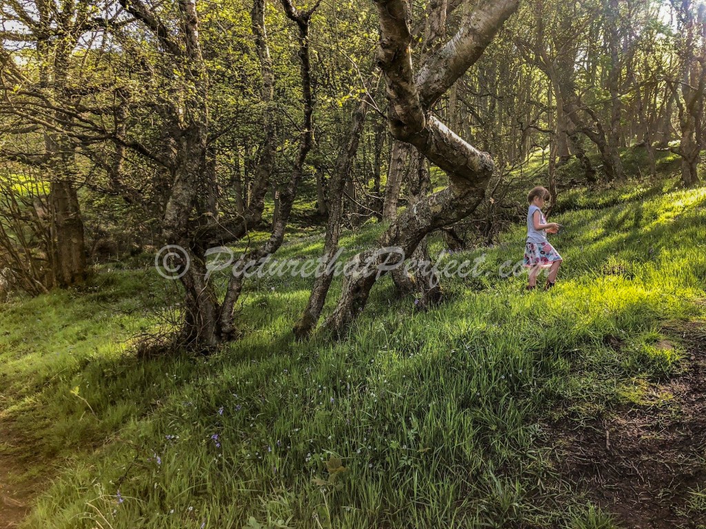 Girl in Flowery Woods
