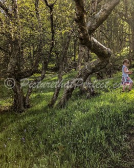 Girl in Flowery Woods