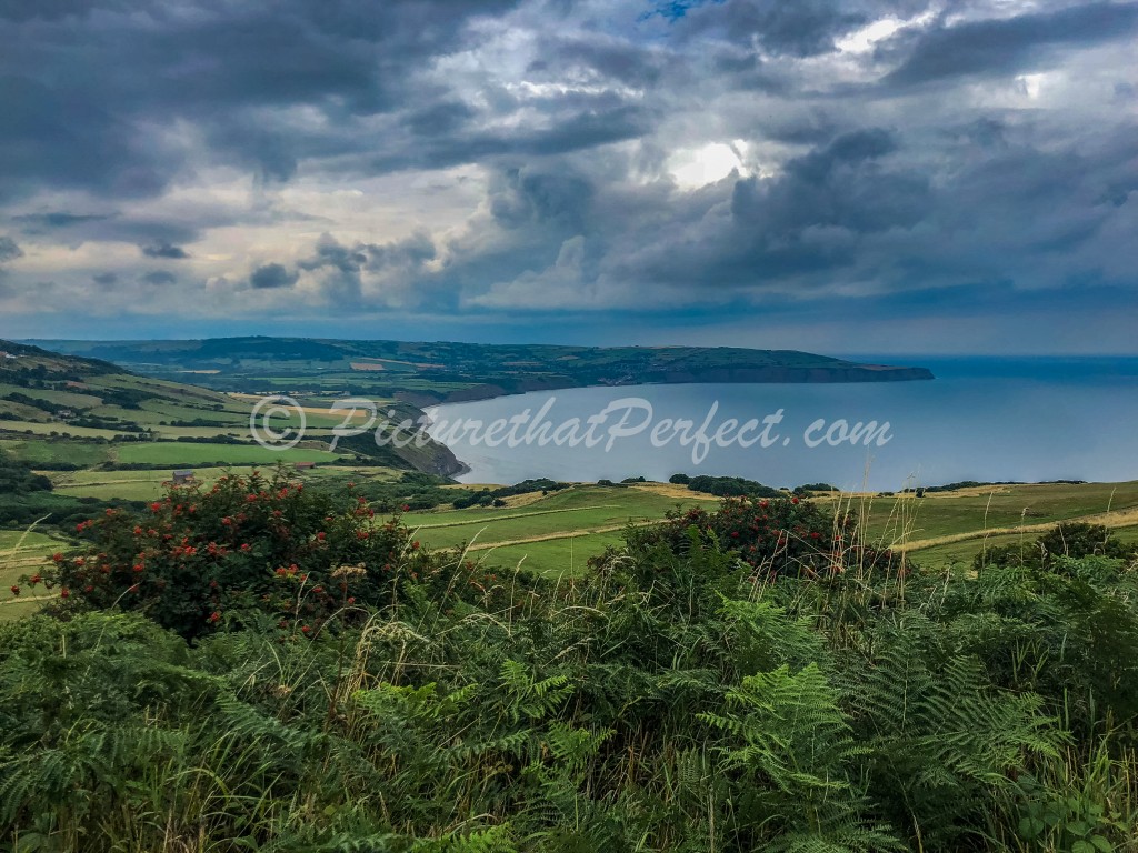 Ravenscar Fields with RHB