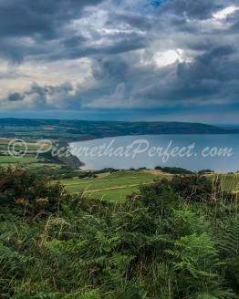 Ravenscar Fields with RHB