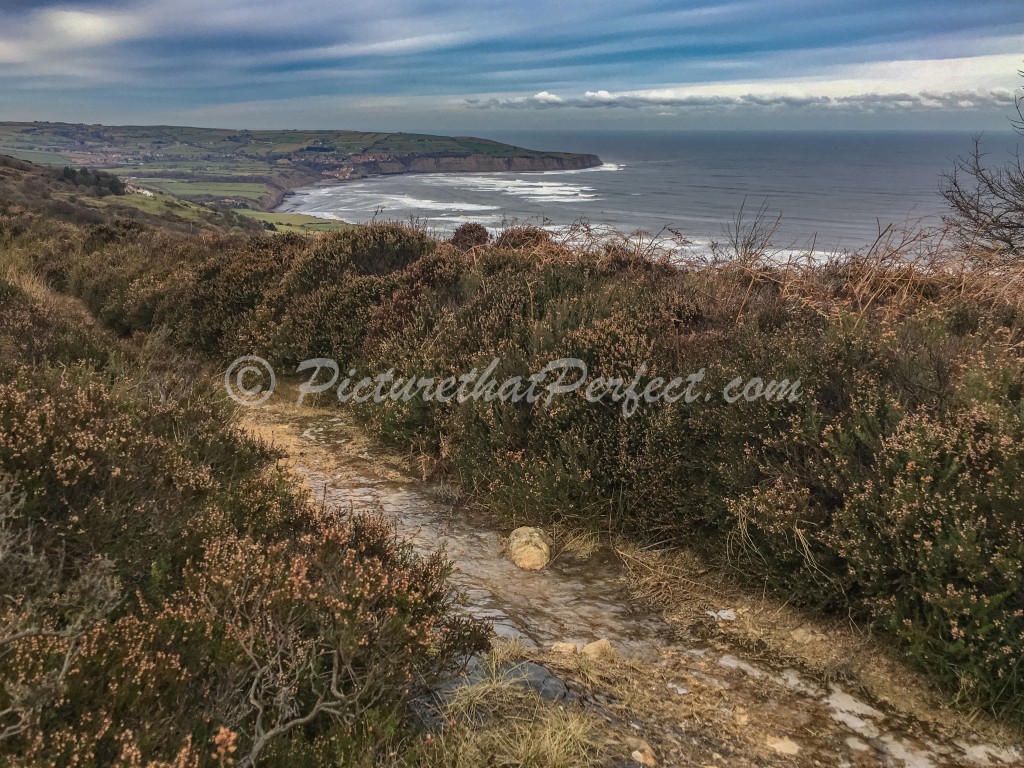 Icy Ravenscar Cliffs