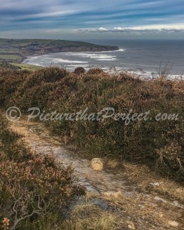 Icy Ravenscar Cliffs