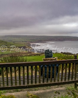 Boy on Bench