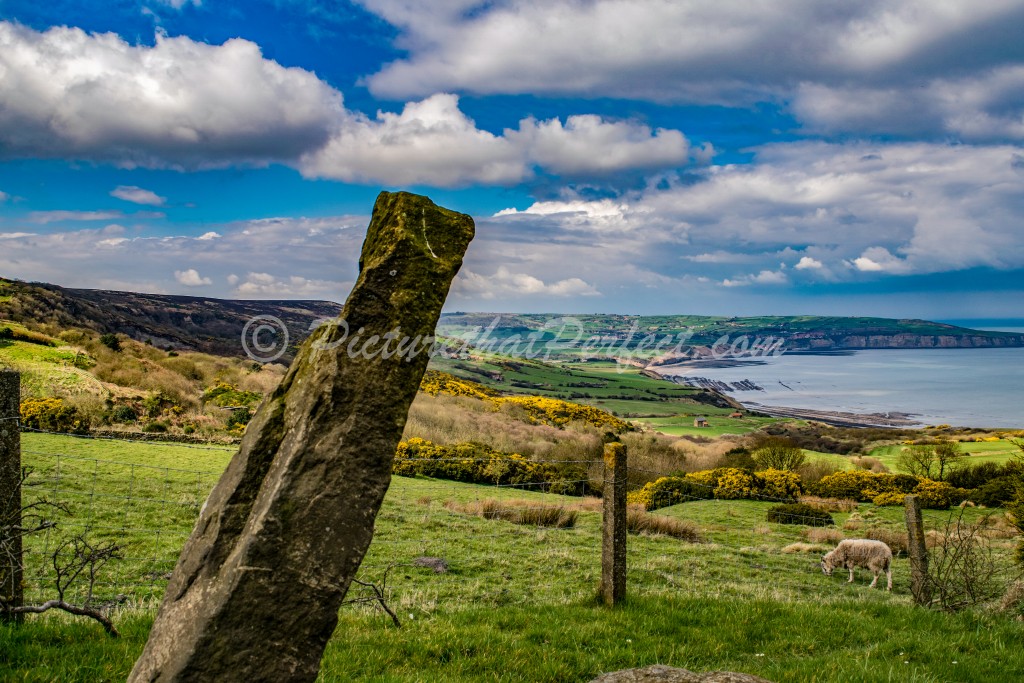 Summertime in Ravenscar