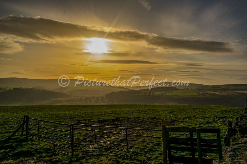 Hillside Sunset1