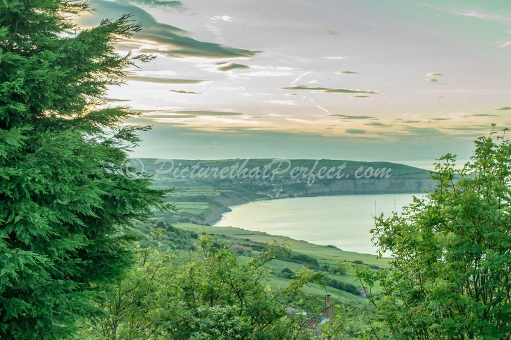 RHB From Ravenscar trees