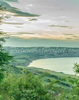 RHB From Ravenscar trees