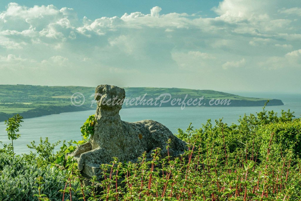 RHB From Ravenhall Dog