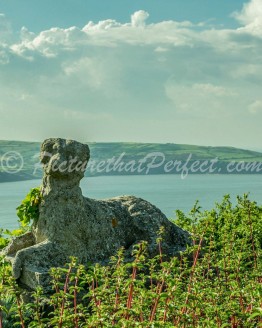 RHB From Ravenhall Dog