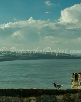 RHB with Battlements