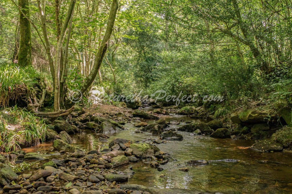 Falling Foss Stream1