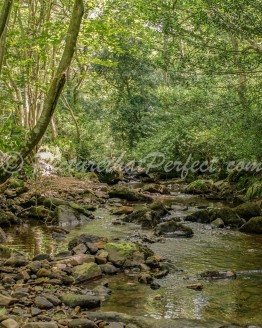 Falling Foss Stream1