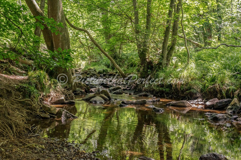 Falling Foss Stream2