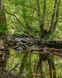 Falling Foss Stream2