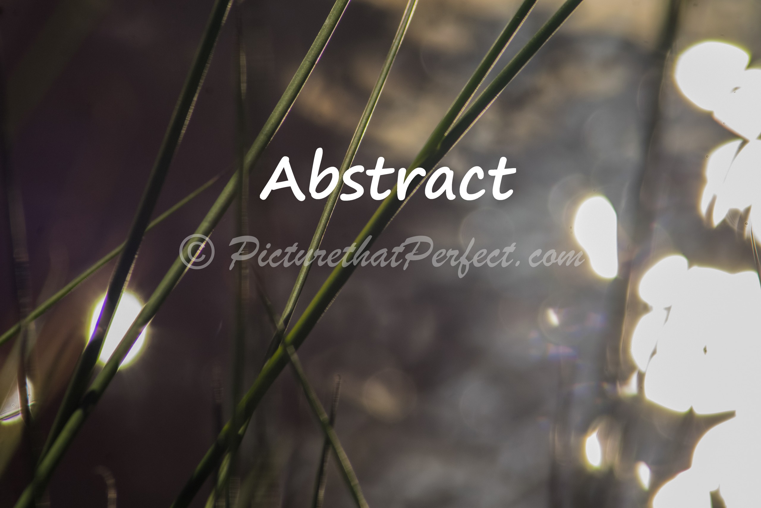 Abstract Category