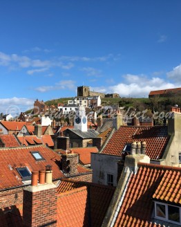 Whitby Abbey Rooftops