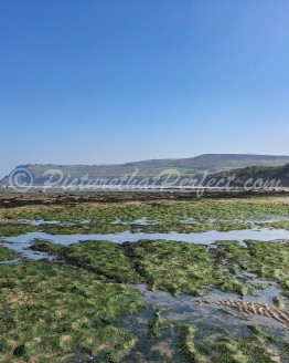 RHB Beach With Seaweed RHB Beach With Seaweed