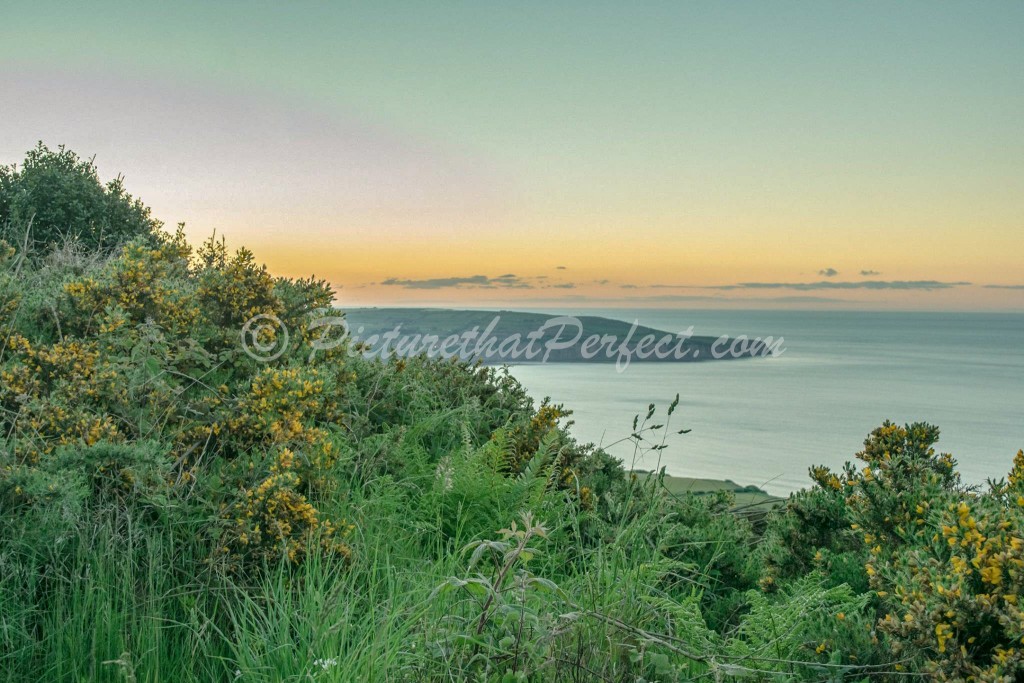 RHB From Ravenscar Bushes
