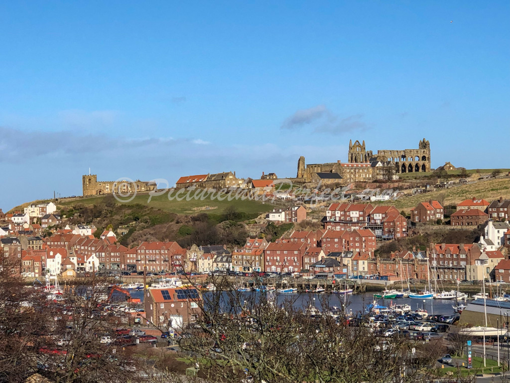 Whitby Abbey & Harbour1