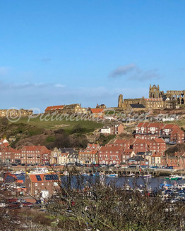 Whitby Abbey & Harbour1
