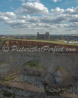Whitby Abbey Aerial1