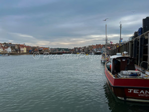 Whitby Boat Harbour1