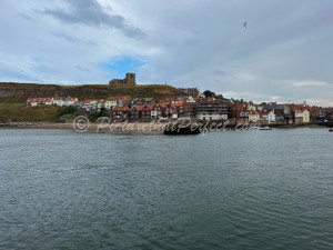 Whitby Boat Harbour2